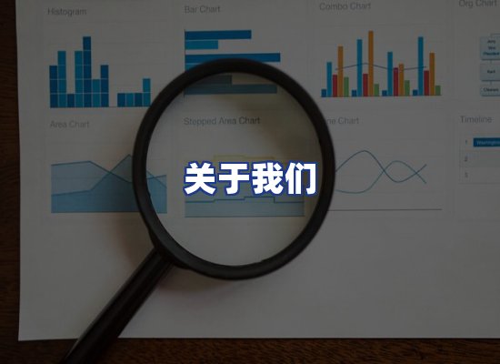 专业团队